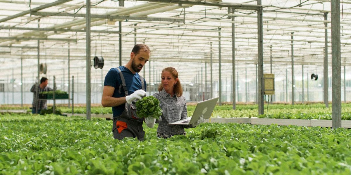 The Future of Farming: How Technology is Revolutionizing Agriculture