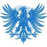 Falcon Tour Profile Picture