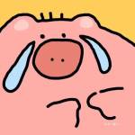 Cige Cige Profile Picture