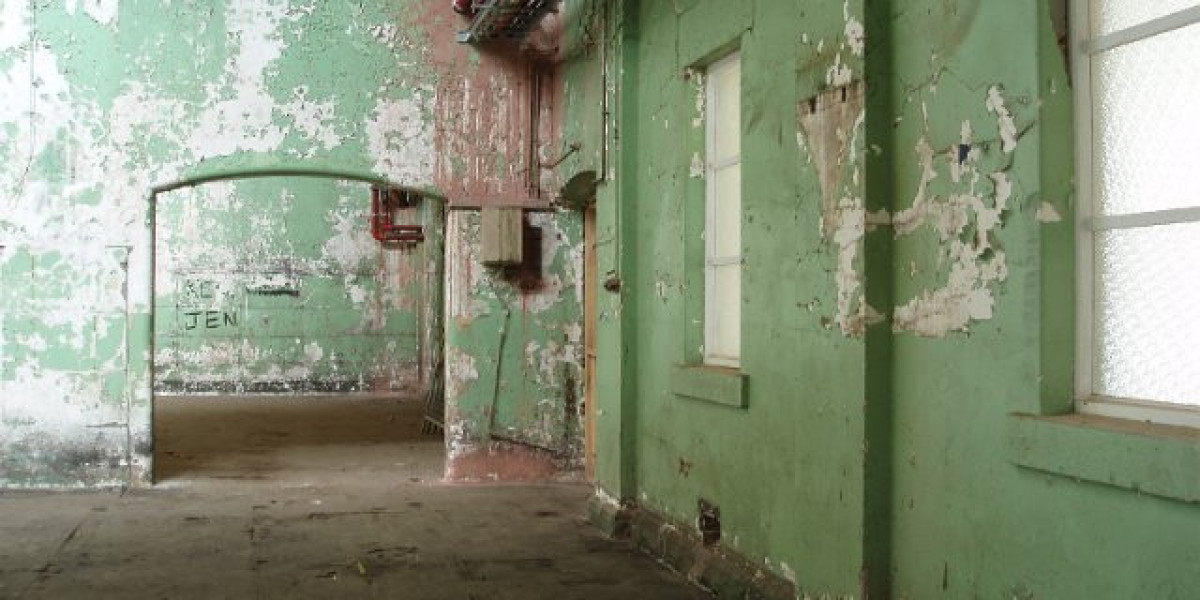 Top Online Casino in Australia Play Now