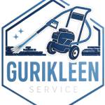 Gurikleen Cleaning Service Profile Picture