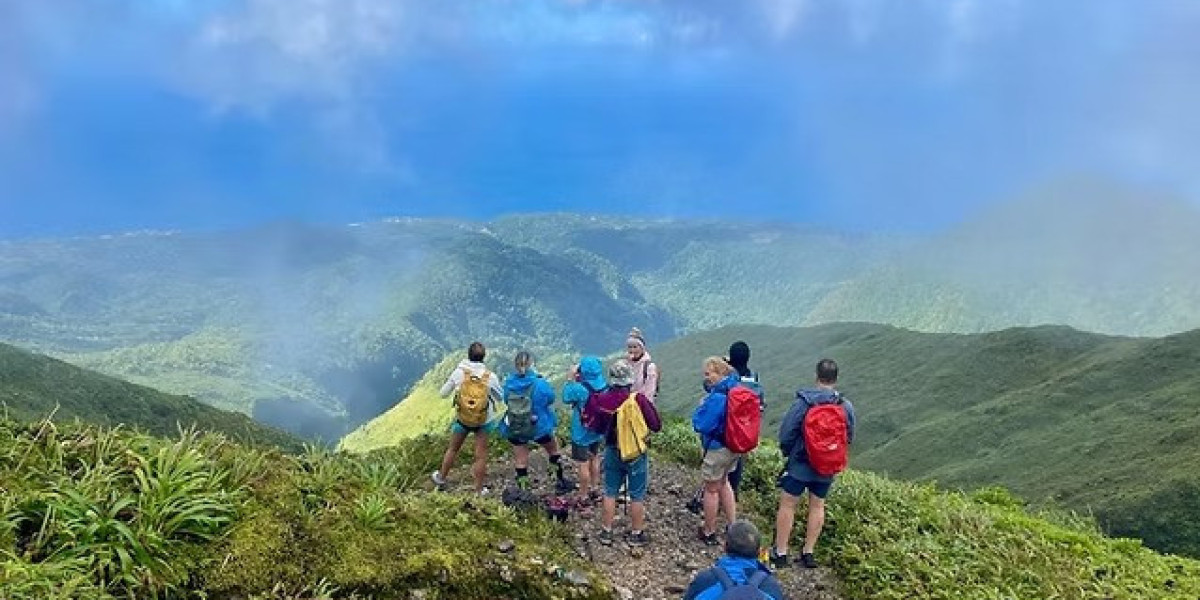 Organisez des vacances en Martinique inoubliables : entre plages, nature et culture créole