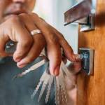 wise market Profile Picture