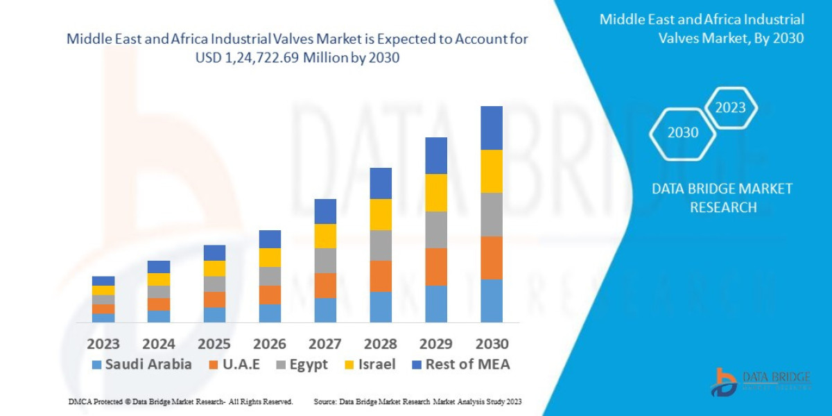 Middle East and Africa Industrial Valves Market : Supply Chain, Pricing, and Forecast 2025 –2032