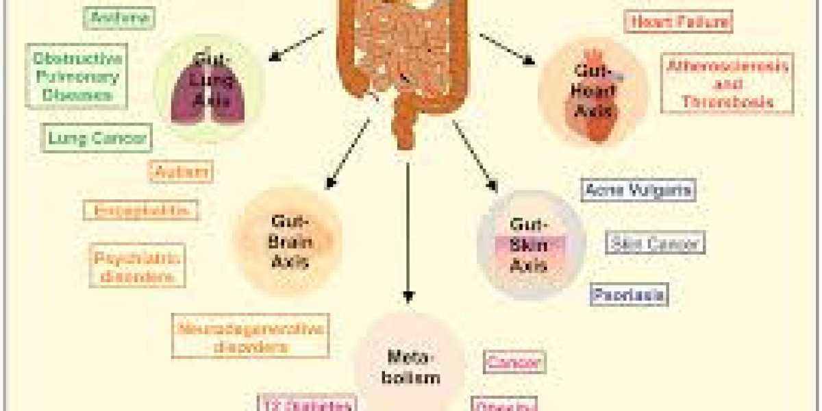 Probiotic Microbiome™ -  Your Ally for Digestive Health and Immune Support