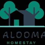 alooma01 house Profile Picture