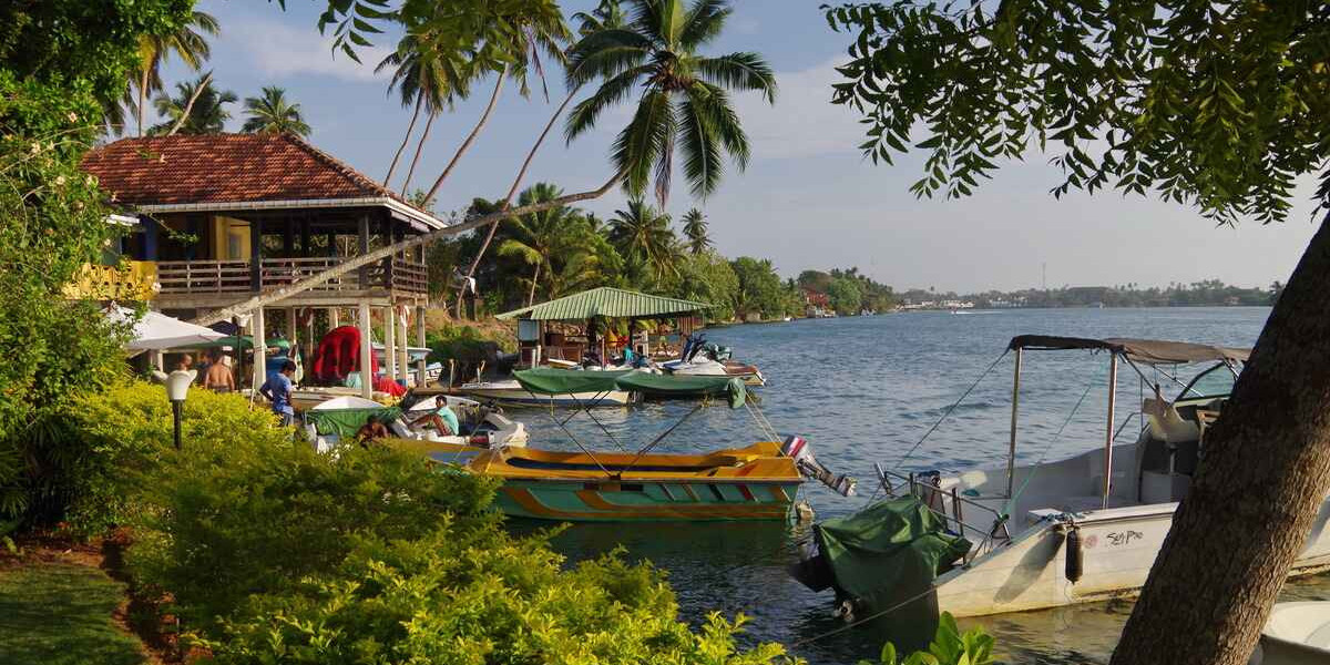 03 Nights and 04 Days Sri Lanka Kingdom Tour and Sun and Fun Tour: Exploring Culture, Nature, and Beaches