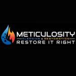 Meticulosity Cleaning Profile Picture