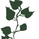 Grove Street Psychiatry Profile Picture