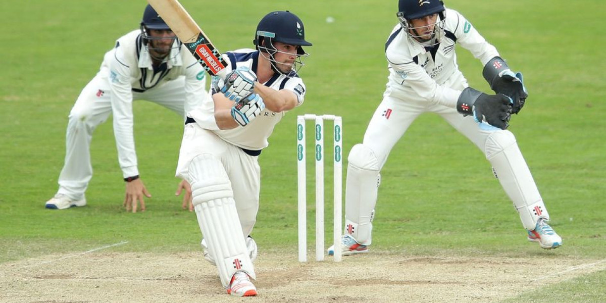 Tiger exchange 365 login Your First Step Into Smart Exchange Betting