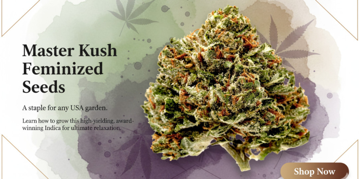 Master Kush Feminized Seeds: Grow the Classic