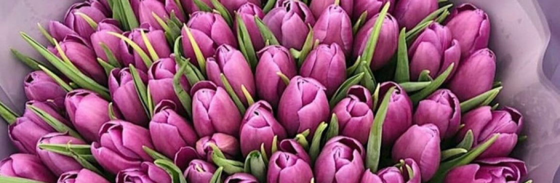 Натуся Сергіївна Cover Image