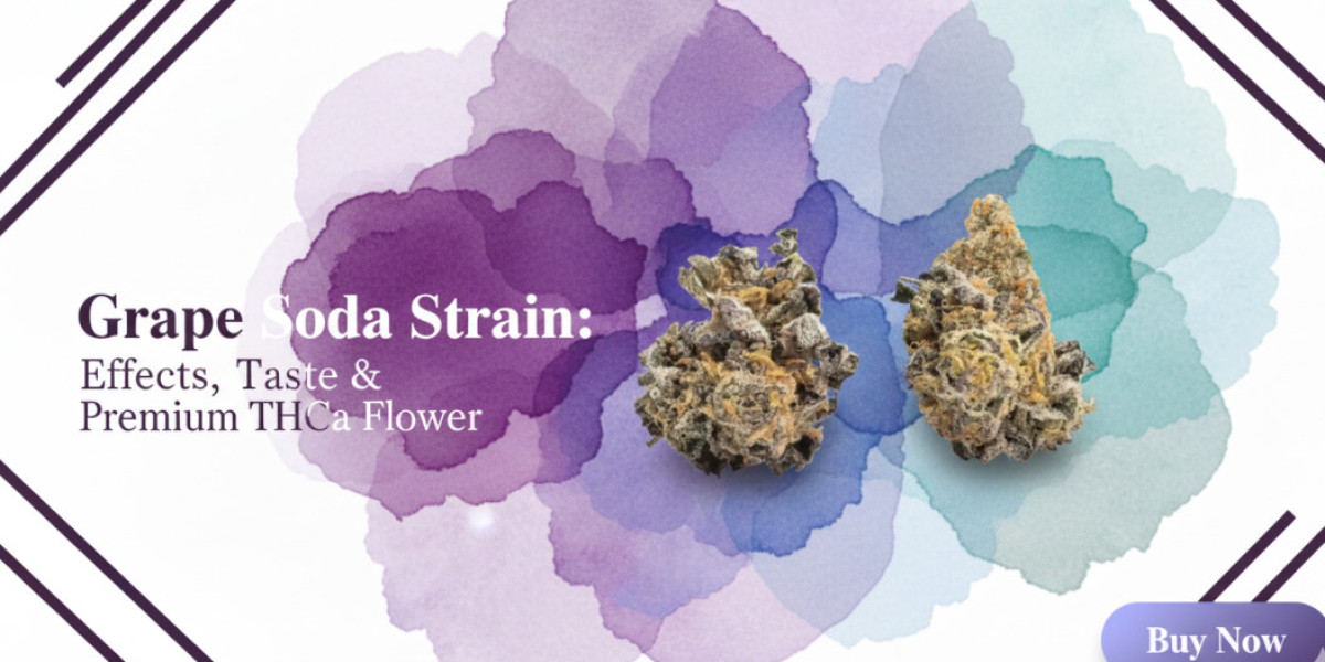 Grape Soda Strain: Effects, Taste & Premium THCa Flower
