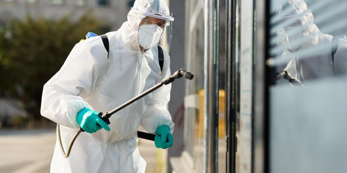 Gold Coast Pest Control Checklist for New Homeowners