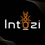 Intozi Tech Pvt Ltd Profile Picture