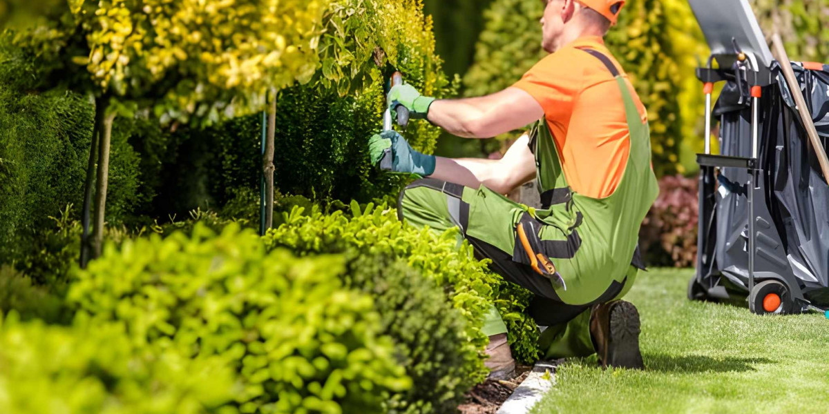 Alpha Snow Removal Company: Keeping Winters Safe and Stress-Free