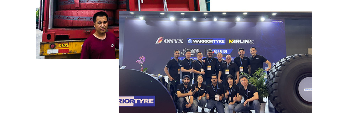 Trojan Limited Cover Image