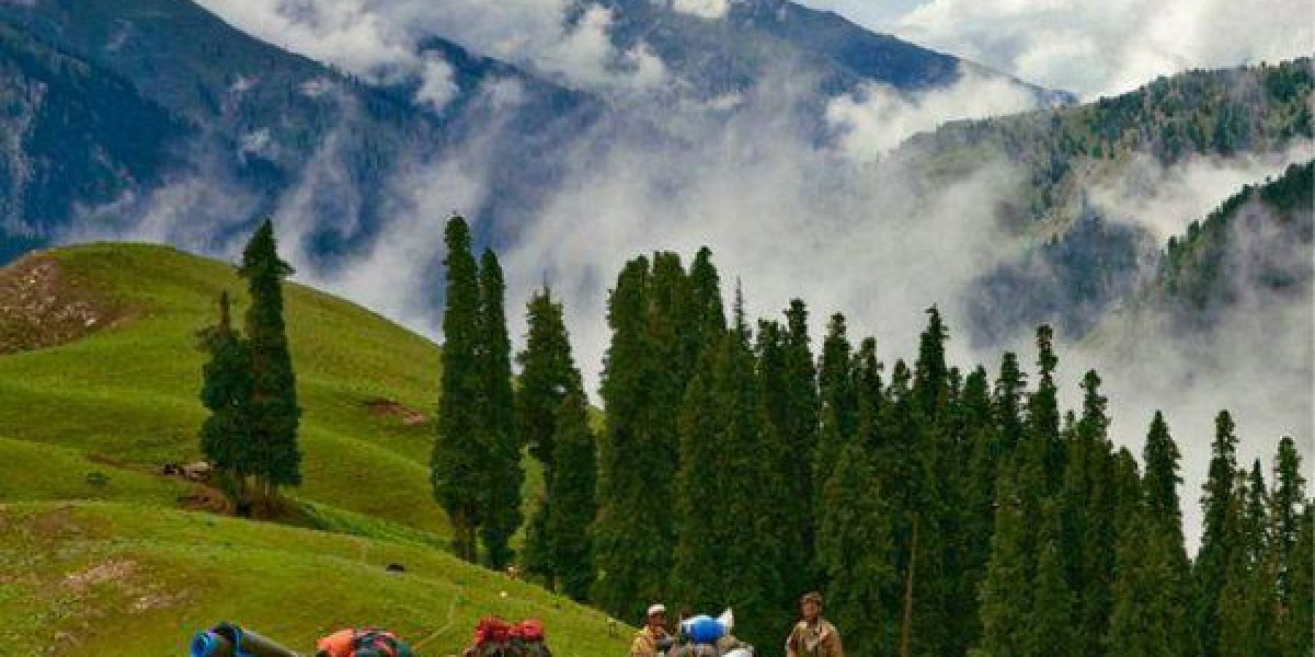 Murree Tour Packages for First Time Visitors in Pakistan