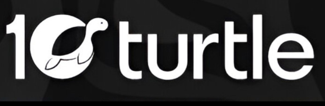 10turtle Cover Image