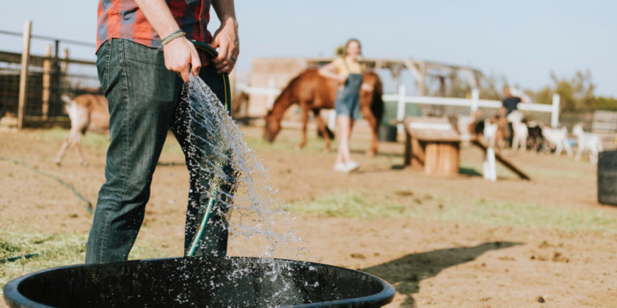 Pure Water, Better Beef: Why Clean Water Matters on Alberta Farms