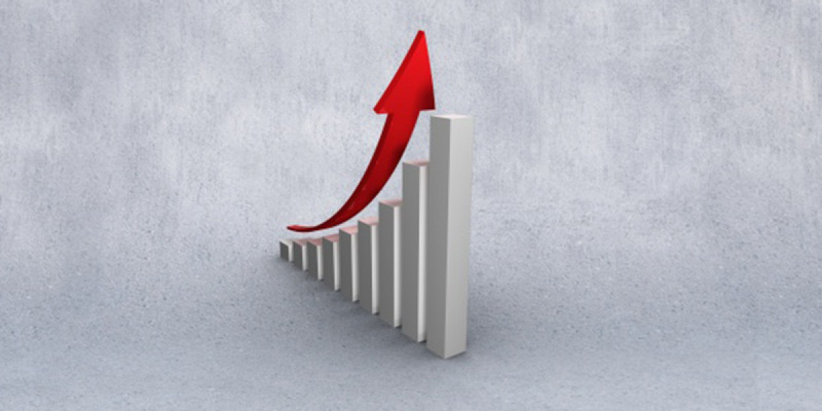 Life and Pensions Business Processing Outsourcing (BPO) Market Size, Share, Trends, Growth Forecast Report 2024-2034