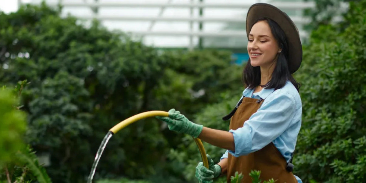 Article Picture