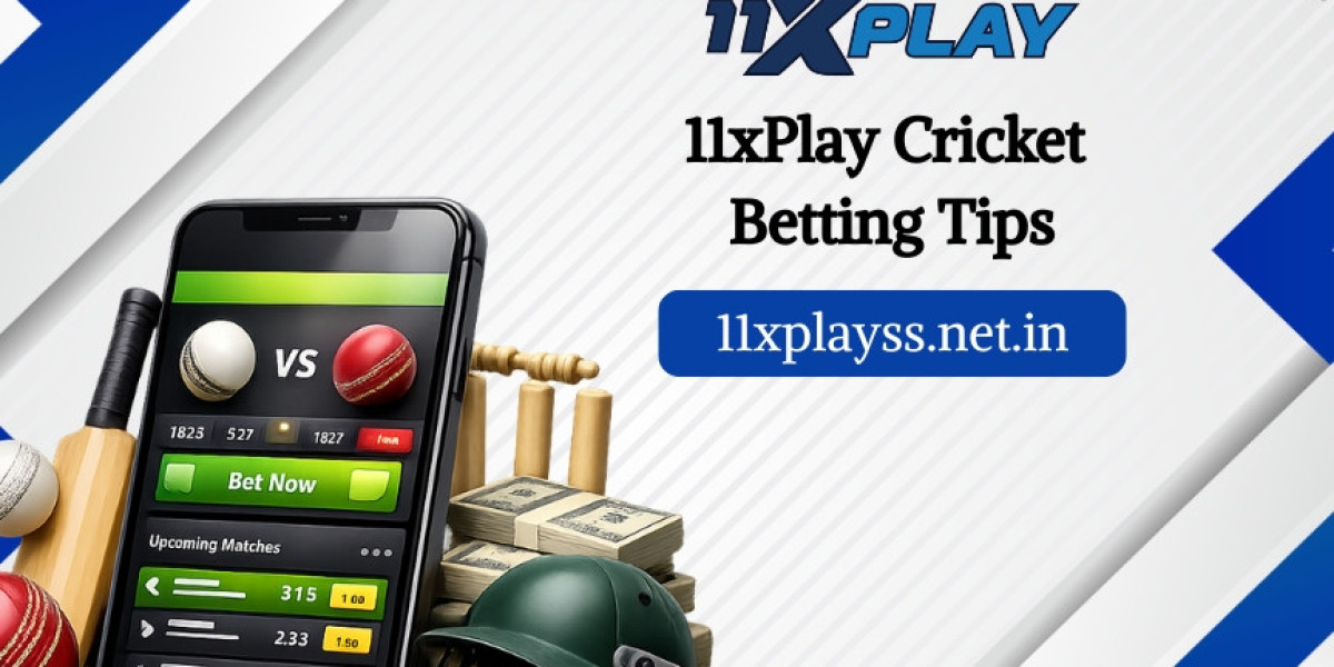 11xplay User Experience Review: What Makes It Stand Out
