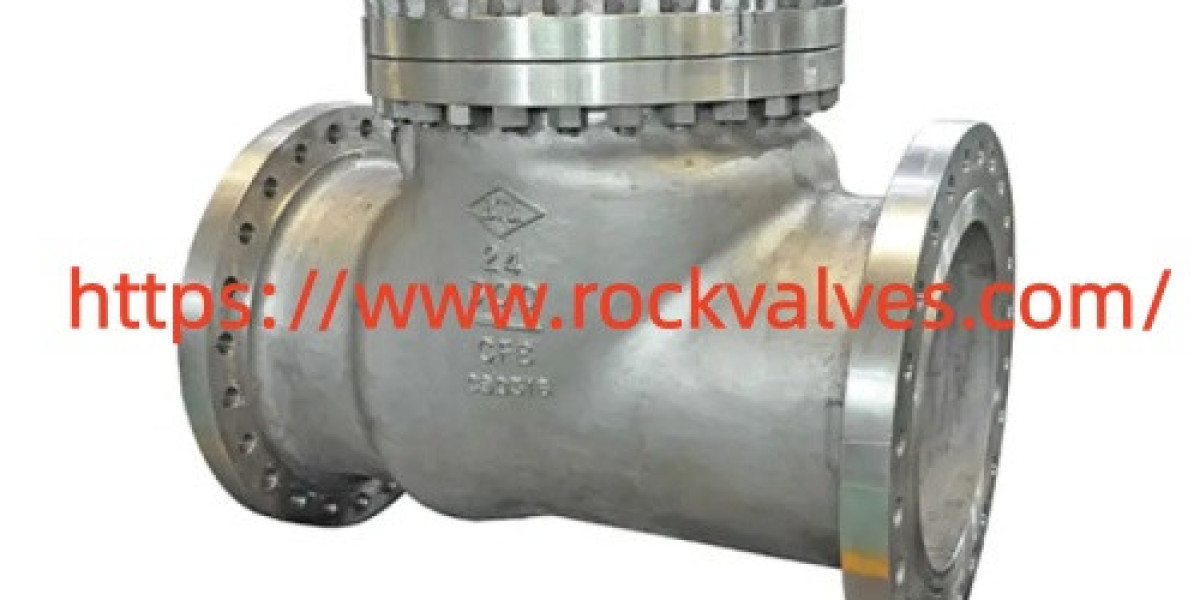 What Should Buyers Know About Rockvalves Swing Check Valve for Water Treatment