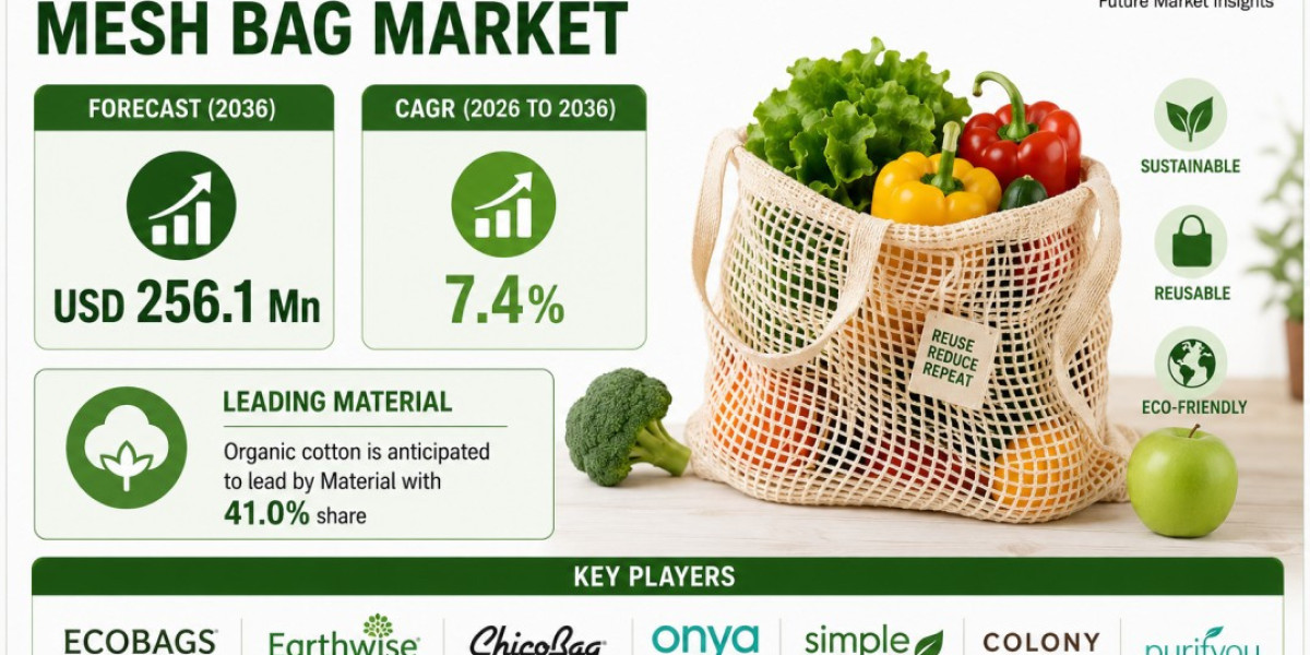 North America Reusable Produce Mesh Bag Market Highlights ECOBAGS Driving Innovation