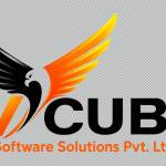 Vcube SoftwareSolutions Profile Picture