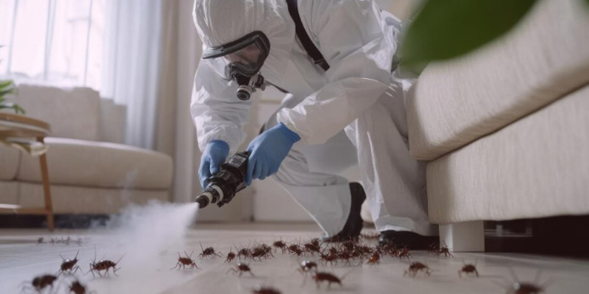 Best Cockroach Prevention Tips for USA Homes