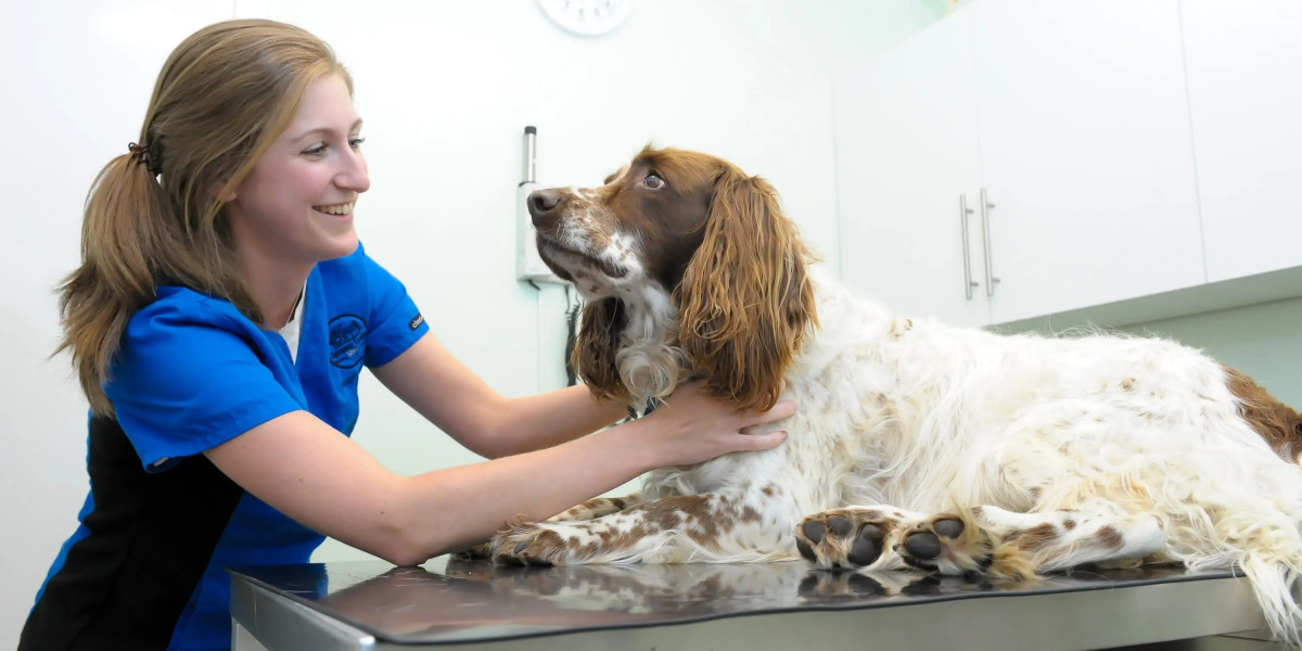 Finding the Best Animal Hospital in Summit, NJ for Dogs and Cats