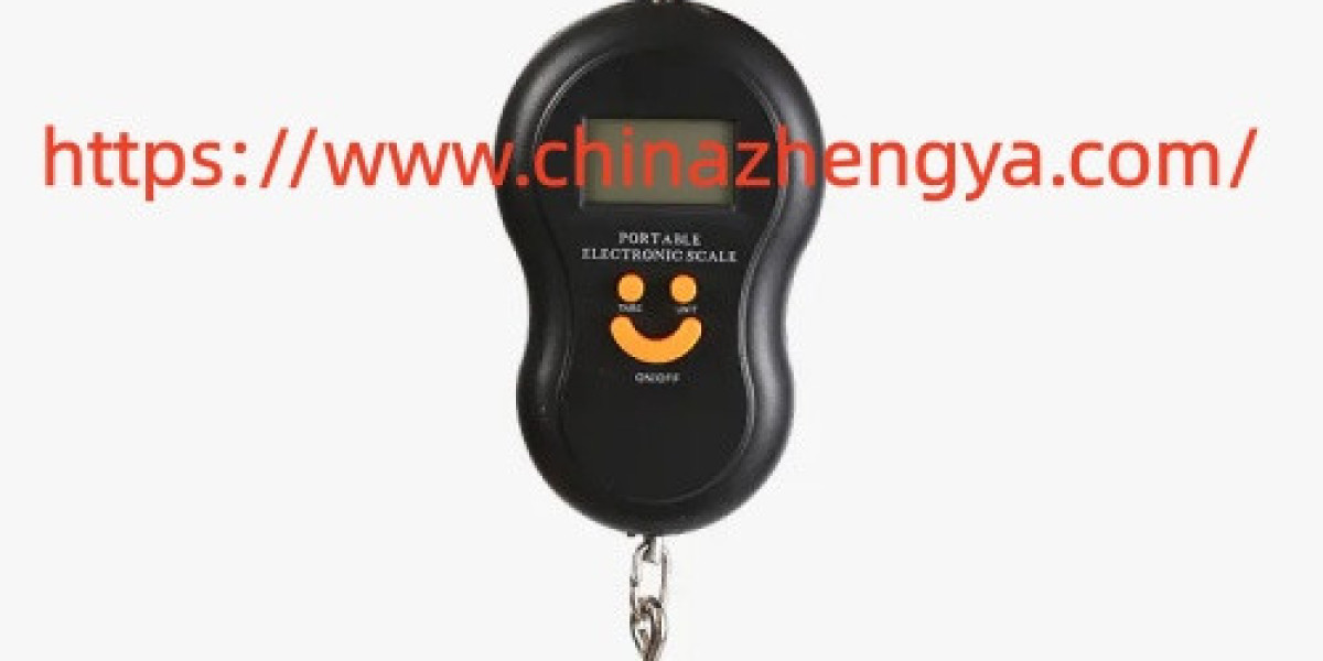 Can Chinazhengya Portable Crane Scale Match Different Industrial Handling Needs