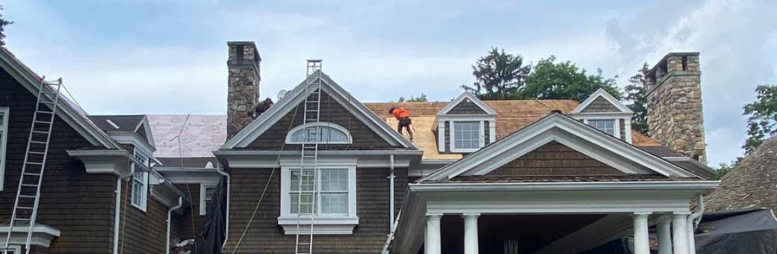 Roof Shark Cover Image