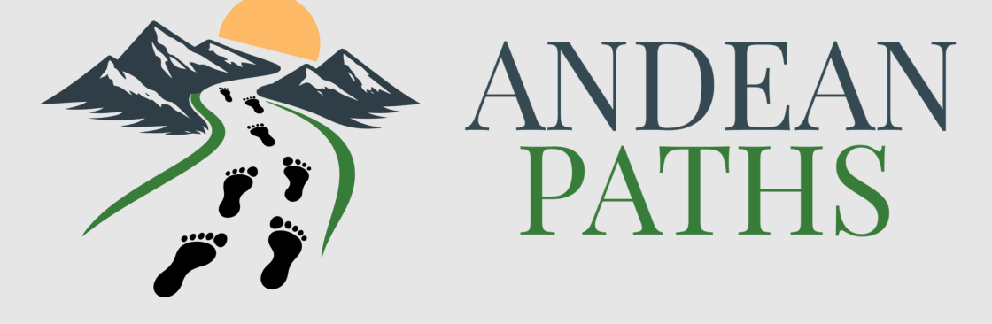 Andean Paths Journeys Cover Image
