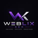 Weblix seo Profile Picture