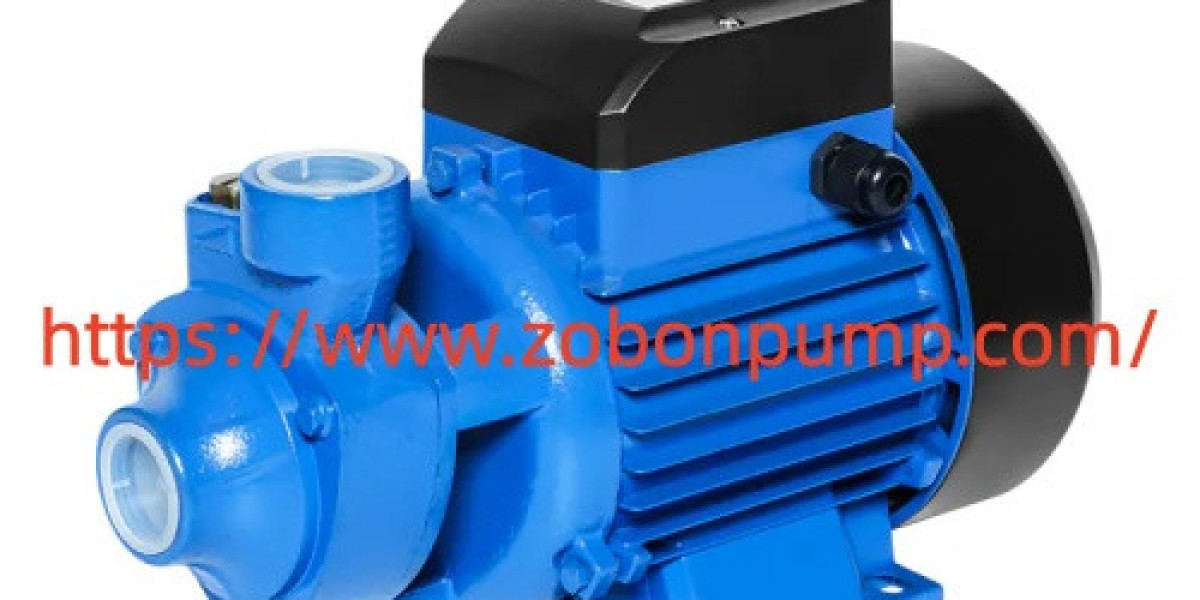 What Should Buyers Check in Zobonpump Portable Water Pump Selection