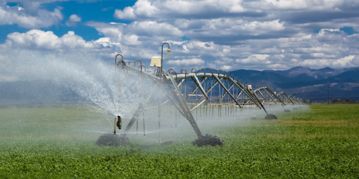 How Can Irrigation Services in Meredith Protect Your Lawn?