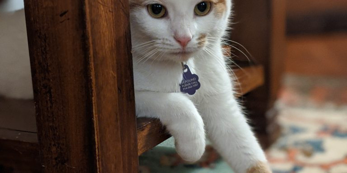 Benefits of Choosing In-Home Euthanasia for NYC Pets