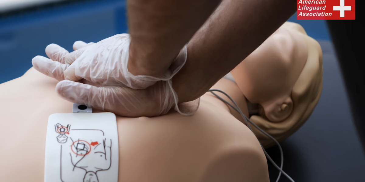 Your Path to Professional Lifeguard Training