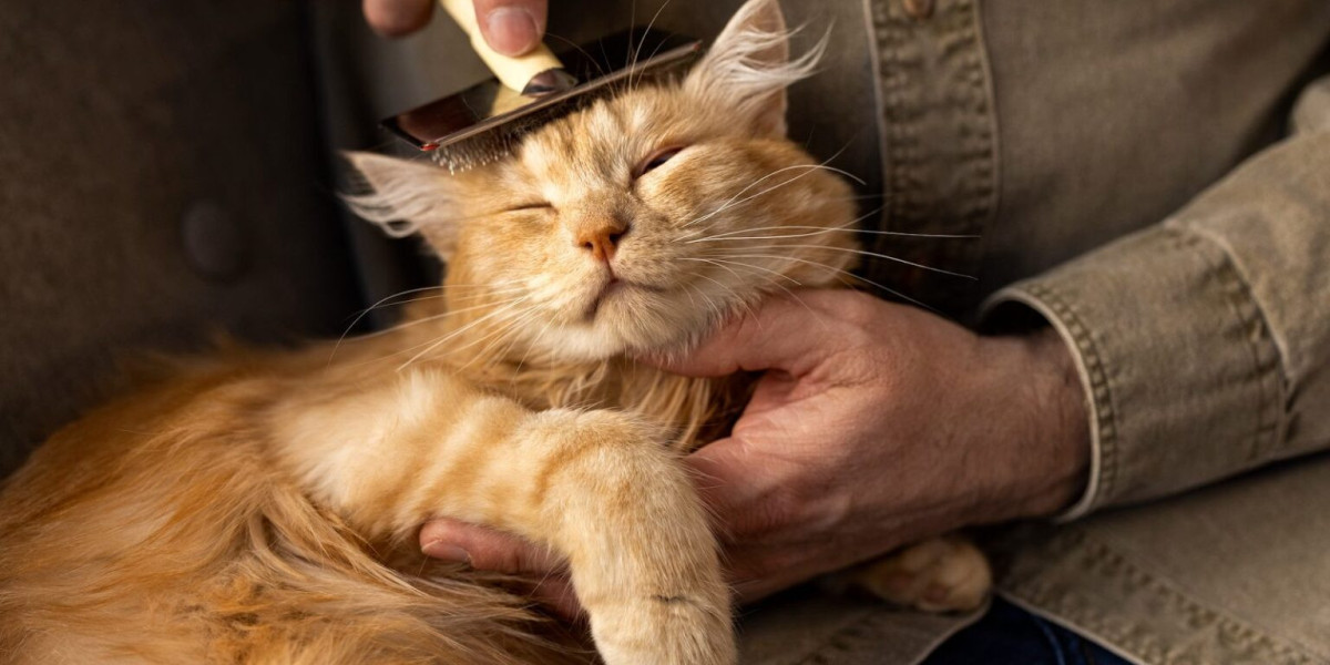 Benefits of Choosing In-Home Euthanasia for NYC Pets