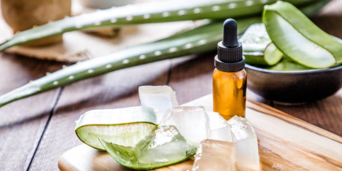Aloe Vera Products Market Trends Reshape Beauty and Wellness