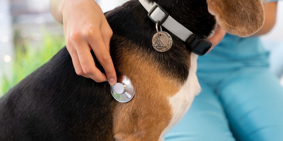 Safest Flea And Tick Collar For Dogs