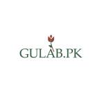 Gulab Pakistan Profile Picture