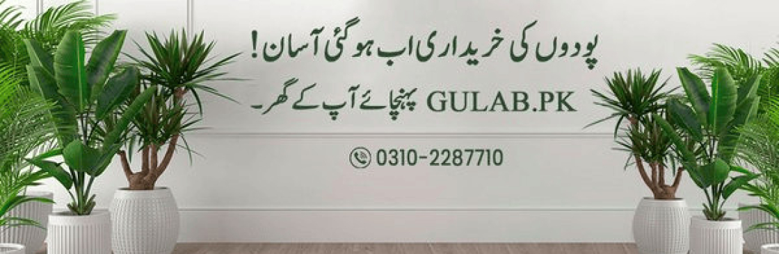Gulab Pakistan Cover Image