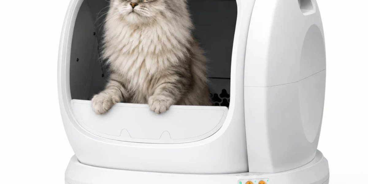 Why the Zivi Automatic Self-Cleaning Cat Litter Box is a Game-Changer for Modern Pet Parents