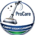 procarepetcleaning Profile Picture