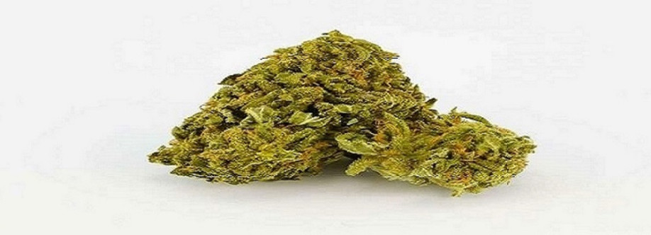 Green Therapy Cover Image