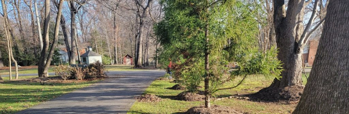 Riveras Landscaping LLC Cover Image