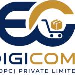 edigi comfy Profile Picture